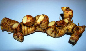 bai thuoc y hoc co truyen tu cu rieng 2