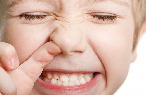 Thảo dược chữa trị triệu chứng chảy máu cam an toàn hiệu quả
