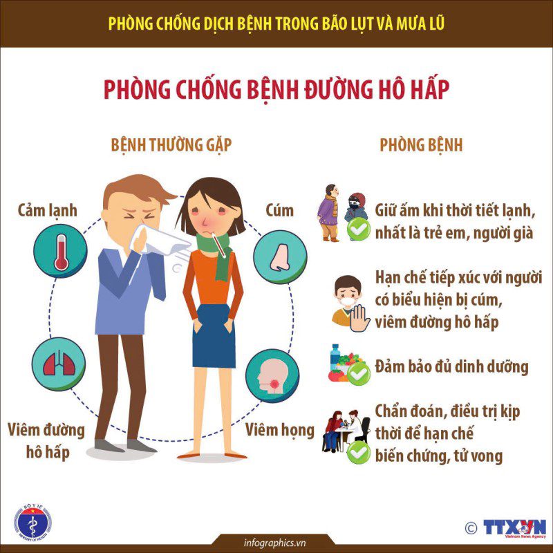 phong 2