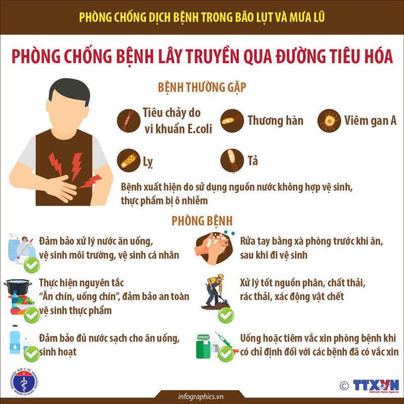 phong 4