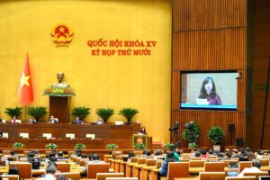article 41