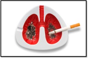 Hút thuốc là nguyên nhân chính dẫn tới ung thư phổi