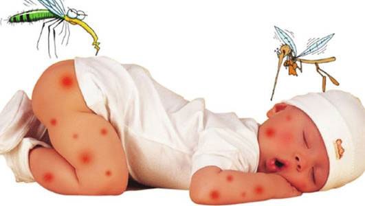 Dấu hiệu phân biệt giữa sốt xuất huyết và sốt thường.