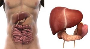 Nguyên nhân gây bệnh và các phương pháp điều trị bệnh gan