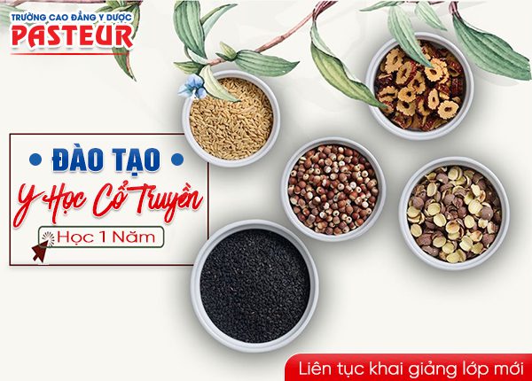 Liên tục khai giảng các lớp Y học cổ truyền năm 2019