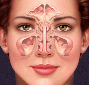 nhung-dieu-can-biet-ve-benh-viem-xoang