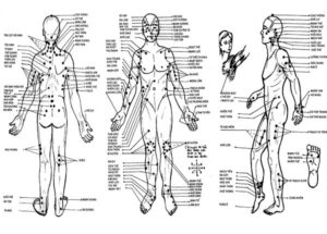 Thầy thuốc đông y chia sẻ cách xác định huyệt đúng để bấm huyệt