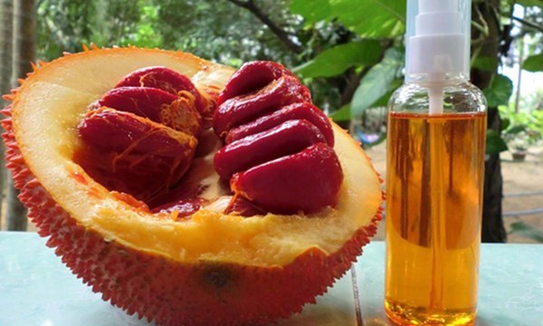 Tinh dầu gấc được dùng làm mỹ phẩm