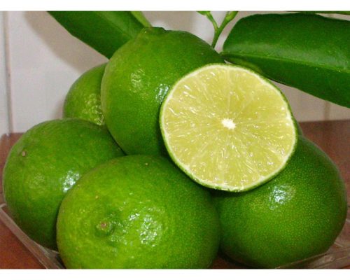 Chanh có khả năng trị mụn và làm mờ sẹo hiệu quả