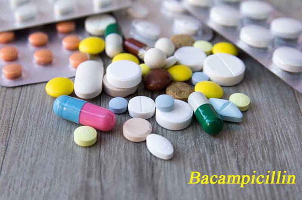 Bacampicillin la thuoc ngan ngua vi khuan gay nhiem khuan trong co the 1
