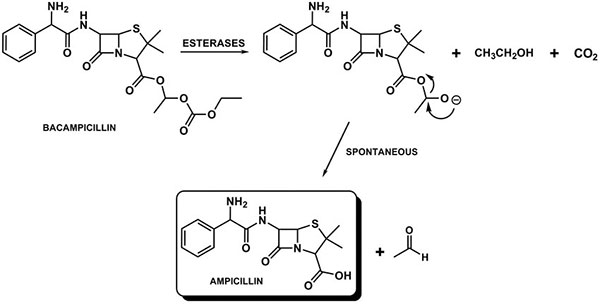 Công thức hình thành Bacampicillin