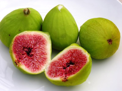 Quả sung với những bài thuốc đánh tan bệnh sỏi mật