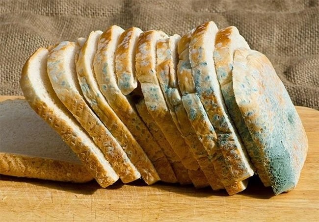 banh mi bi moc dai dien lwsh 2