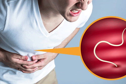 Giun đũa gây ra những cơn đau thắt bụng