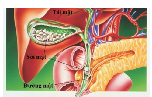benh soi mat o phu nu mang thai 1
