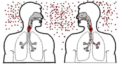 Góc nhìn của các chuyên gia về căn bệnh truyền nhiễm