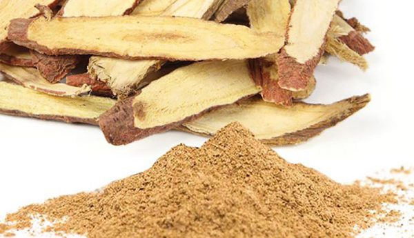 Cam thảo có tác dụng trong điều trị bệnh hô hấp