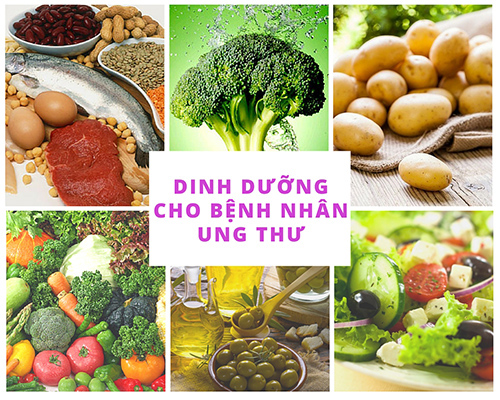 che-do-dinh-duong-cho-nguoi-benh-ung-thu