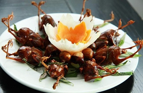 chim se mon an lam thuoc 1