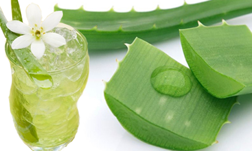 Khám phá công dụng làm đẹp của nha đam dành cho phái đẹp