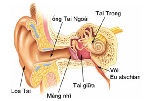 Nên chủng ngừa bệnh viêm tai giữa để tránh những nguy hiểm cho sức khỏe
