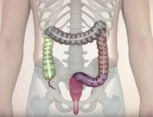 dai trang e1591949092634 1