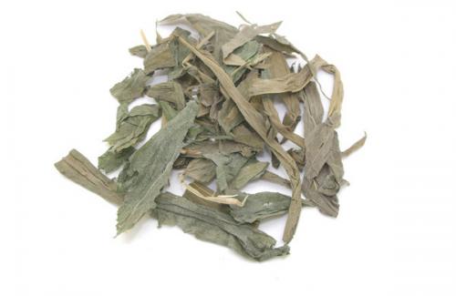 Đạm trúc diệp dạng khô