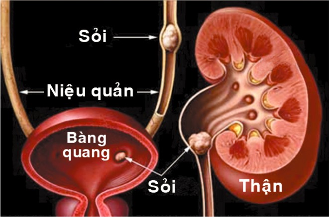 dau hieu an uong sai cach 6