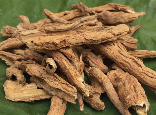 Vị thuốc địa cốt bì