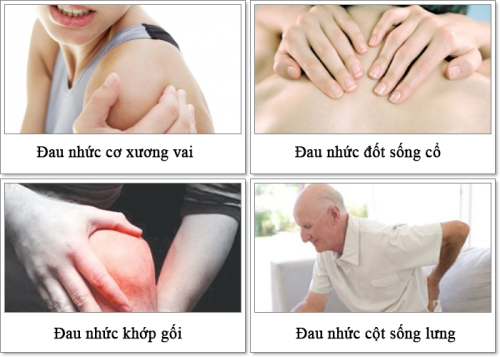 dong 5 1