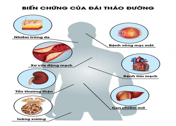 dtd bienchung 2 4
