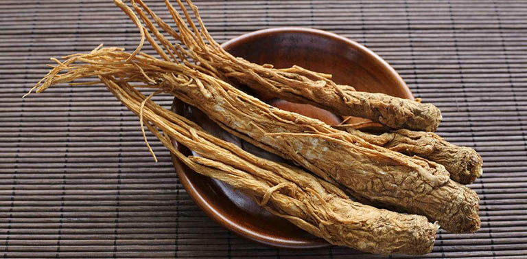 Đương quy: Vị thuốc mang giá trị sức khỏe và sắc đẹp