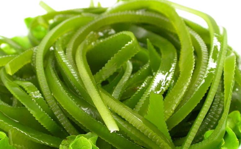 Hải đới và tác dụng phòng trị bệnh bướu cổ