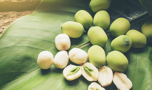 Dược thiện từ hạt sen trong y học cổ truyền