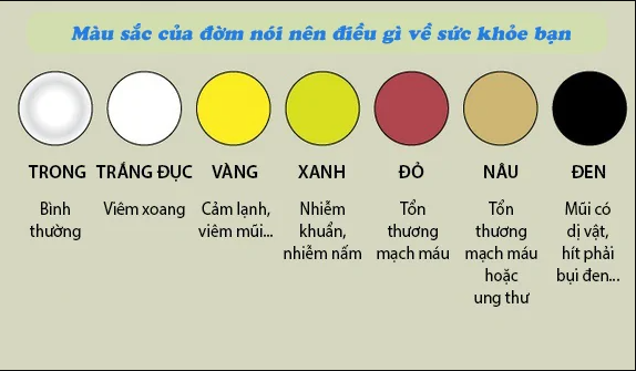 ho co dom la benh gi mau sac cua dom