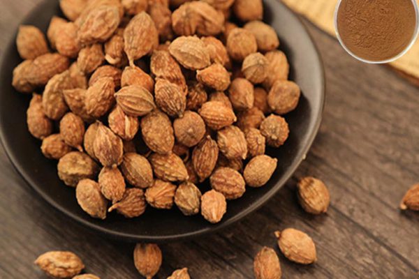 Vị thuốc ích trí nhân