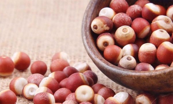 Khiếm thực được sử dụng trong nhiều bài thuốc YHCT chữa bệnh