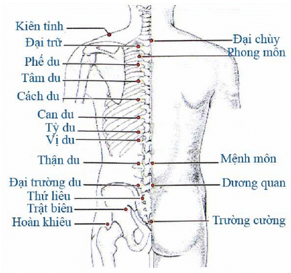 mn 3 1