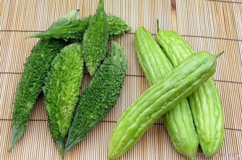 Mướp đắng có rất nhiều công dụng chữa bệnh