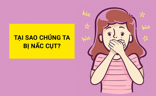 Nấc xuất hiện chủ yếu do người bệnh ăn uống không điều độ