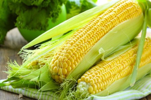 Ngô là nguồn thực phẩm rất giàu dinh dưỡng