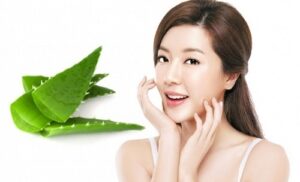 nha dam meo dan gian loai bo tan nhang hieu qua 1