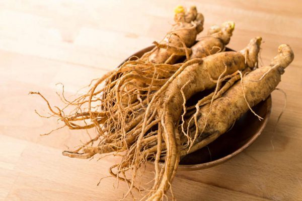 Nhân sâm điều trị hiệu quả chứng mất ngủ