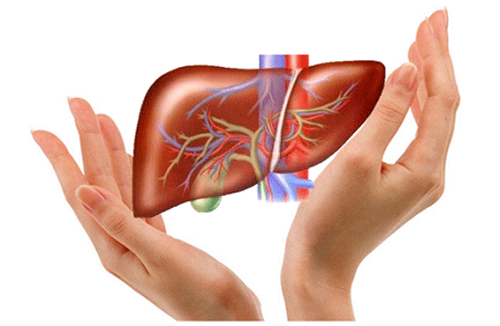 Những loại thuốc giải độc gan tốt nhất hiện nay