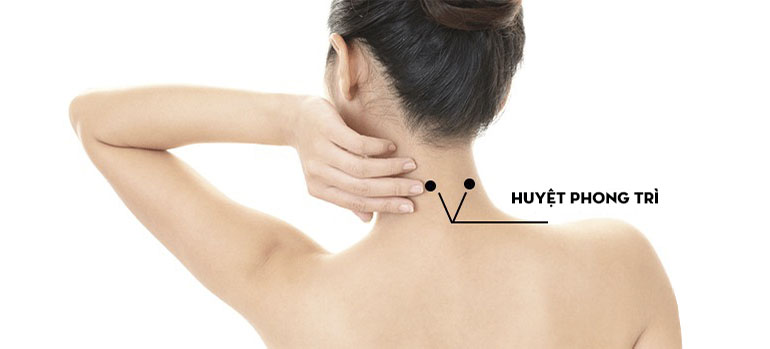 Vị trí huyệt phong trì