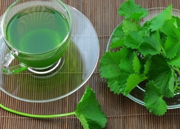 Một số tác dụng phụ của rau má cần lưu ý