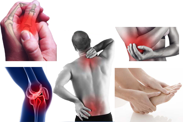Thoát khỏi bệnh đau xương khớp nhờ cây Đinh hương