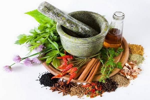 Phương thuốc tân ôn giải biểu trong Đông y