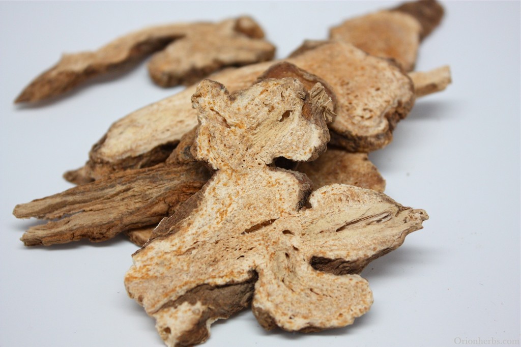 Vị thuốc thương truật