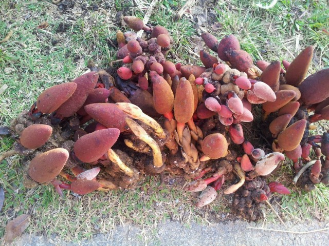 toa duong 2